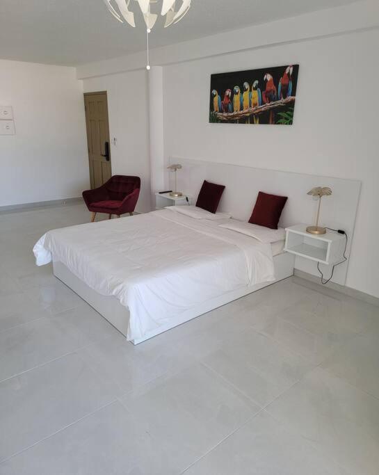 Hello Guyane, Suite Collection Cayenne Exterior foto